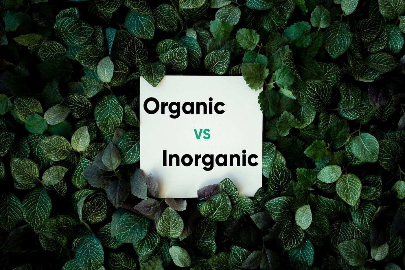 Organic vs Inorganic cover image
