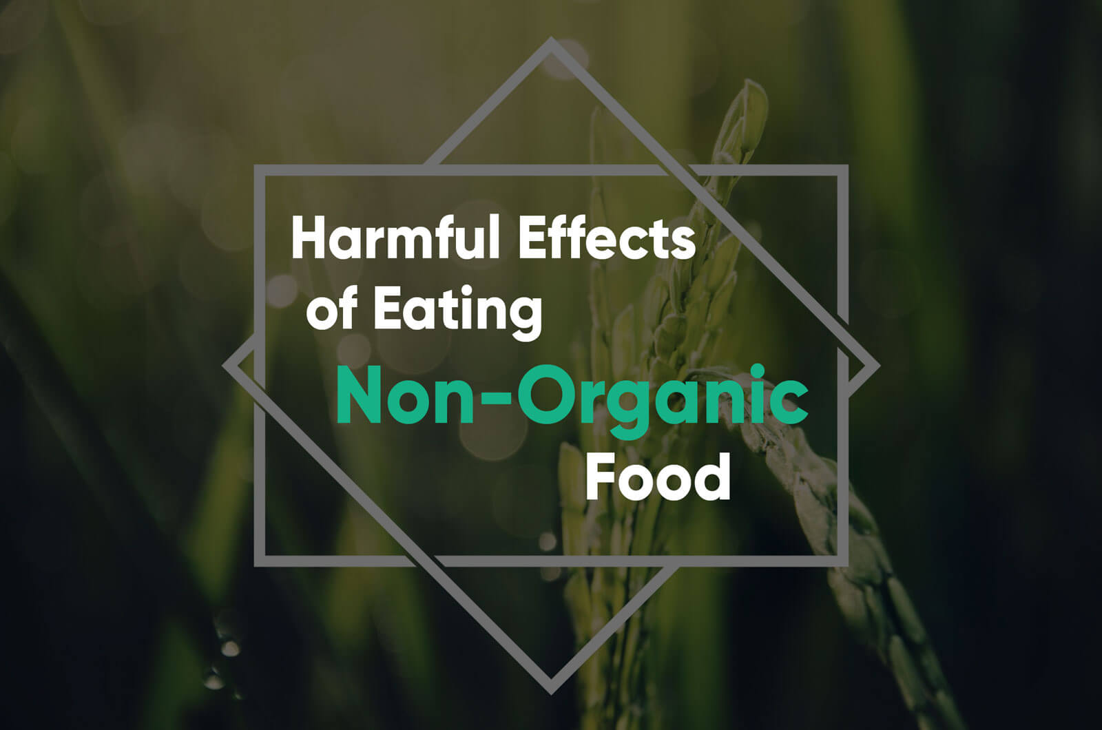 What are the harmful effects of eating non-organic food banner image