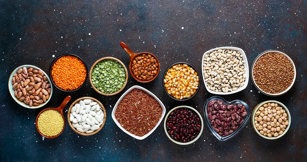 Pulses as the best organic and healthy food choice