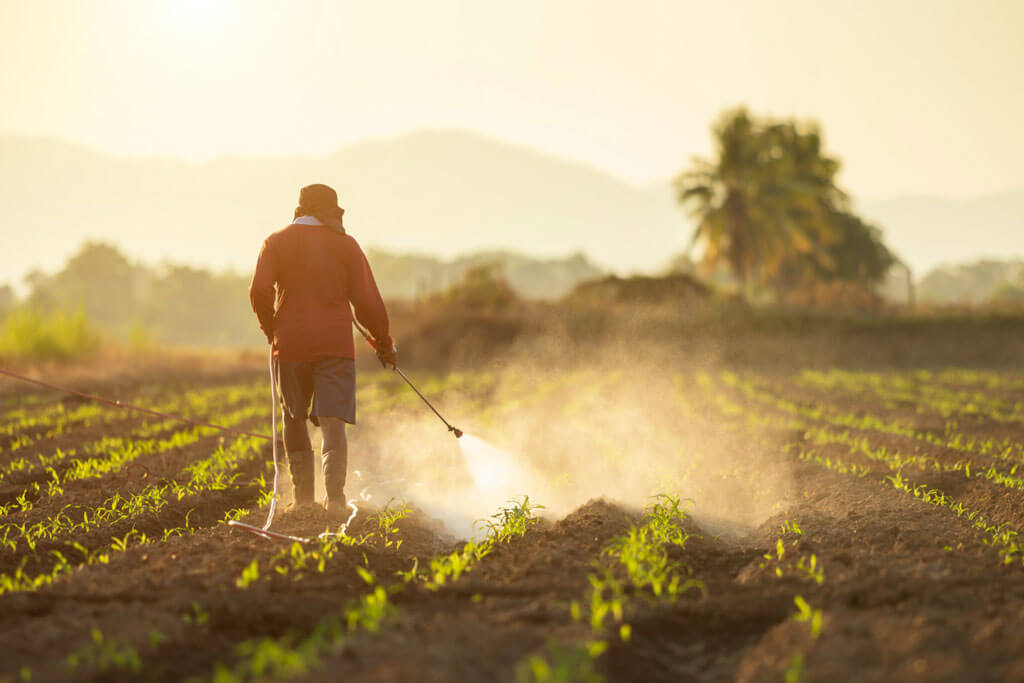 image showing a farmer sprayin pesticides on the crops making it inorganic