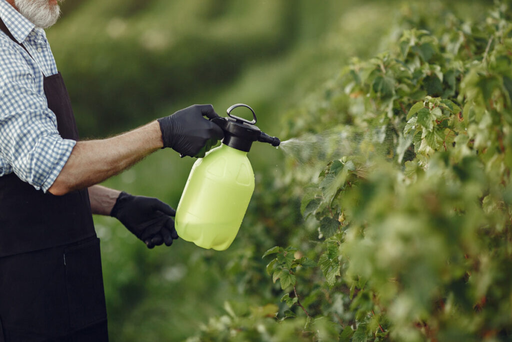 image of a farmer spraying pesticides in fields