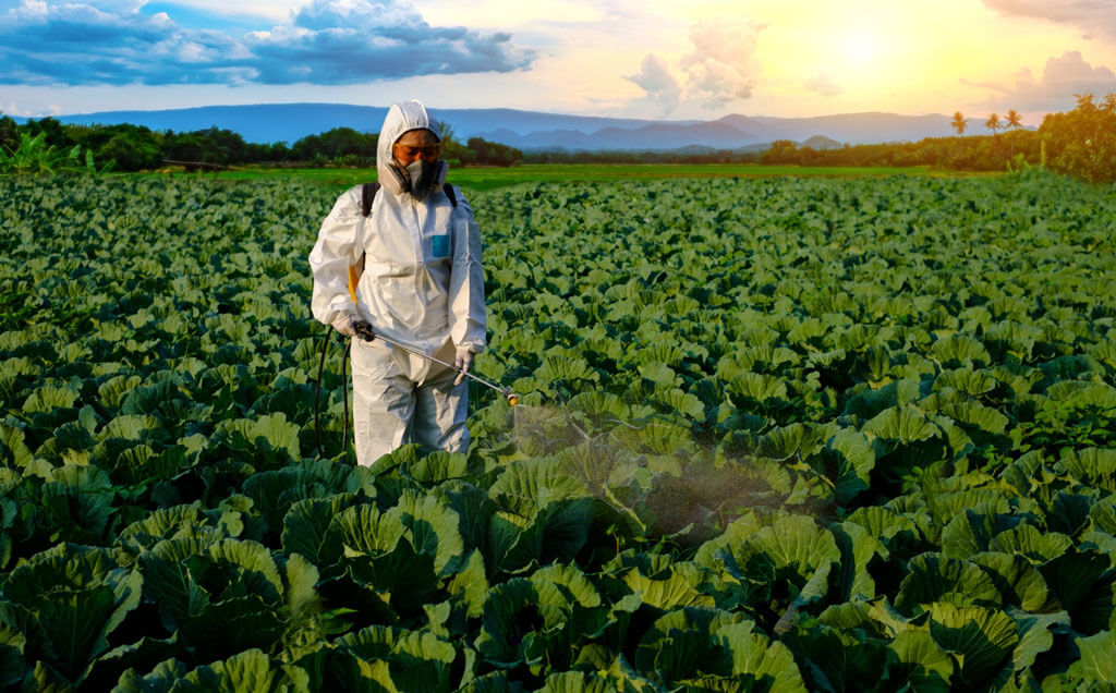 a person spraying pesticides on the crop