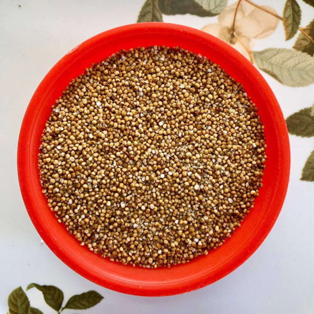 image of kodo millet in a red bowl