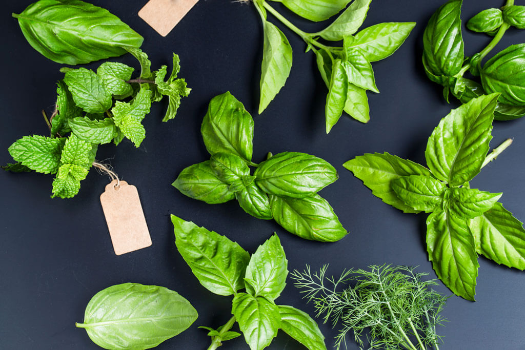 image showing herbs like tulsi pudina