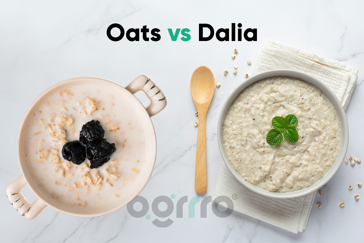 Oats vs Dalia banner image