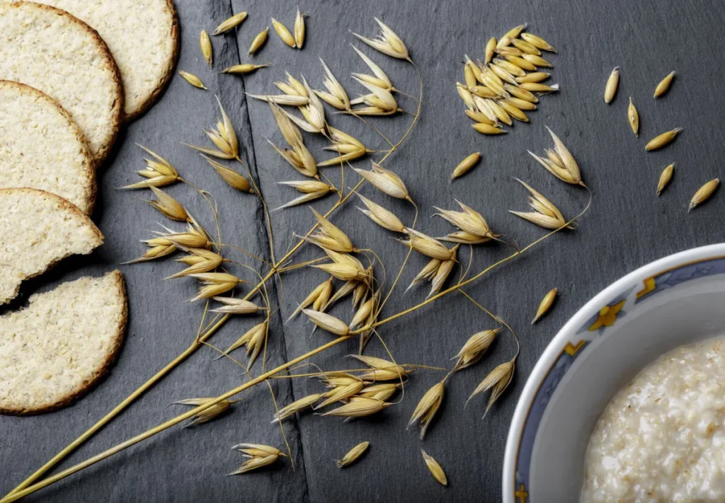 branches-wheat-fresh-bread-oats